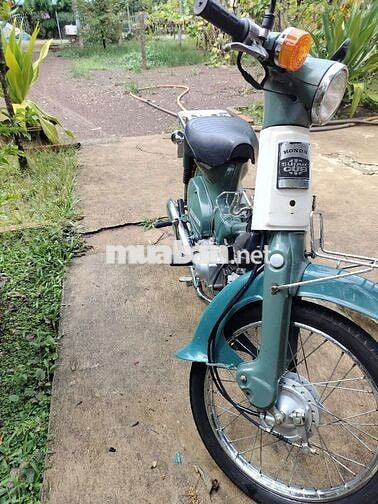 Honda Super Cub Xanh