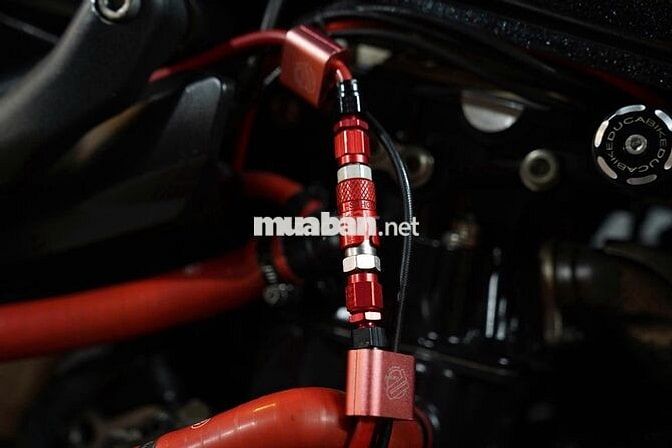 Ducati Monster 821 2016, Option lanh quanh 200tr