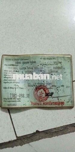 Suzuki Axelo 125 2013 Xanh trắng