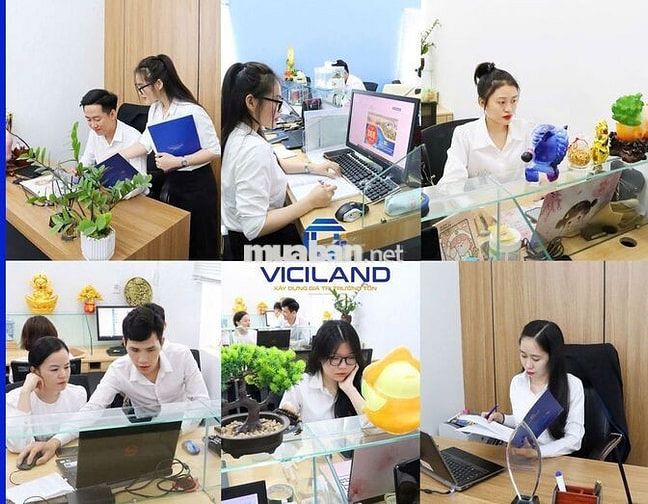 TUYỂN NHÂN VIÊN KINH DOANH BÌNH DƯƠNG CŨ