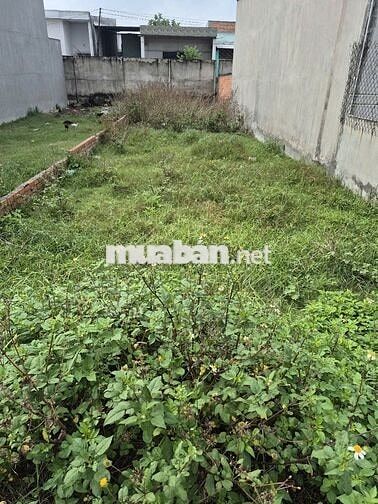 CHÍNH CHỦ CẦN BÁN ĐẤT THỔ CƯ ĐỨC HÒA – LONG AN | SỔ RIÊNG | BT 5M