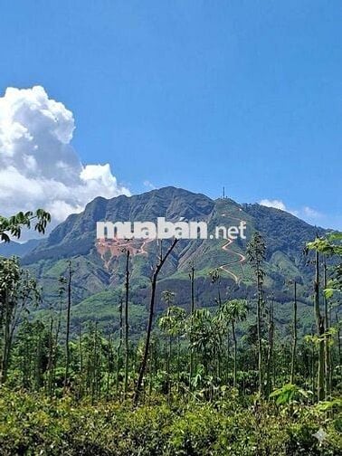 Nền nhà giá rẻ View Núi cực chill giáp Long Khánh