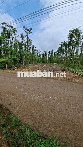 Nền nhà giá rẻ View Núi cực chill giáp Long Khánh