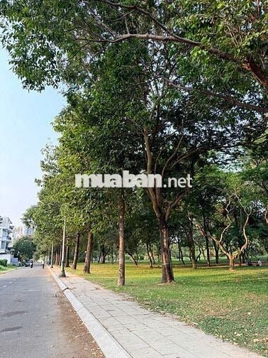 Tuyển lao động phổ thông (nhân viên cây xanh)