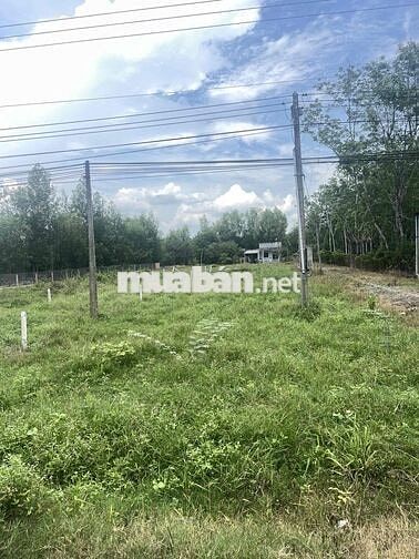 siêu phẩm 2 mặt tiền trên đường DH 704
