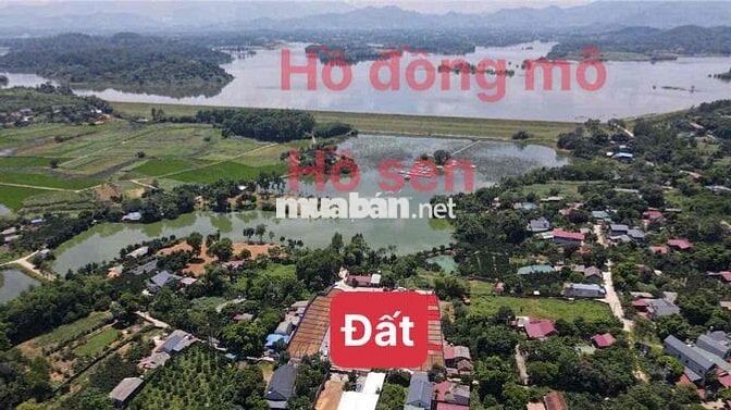 Chủ cắt lỗ lô 62m tại Đoài Phương, HN đg thông 2 ô tô tránh giá 1,x tỷ