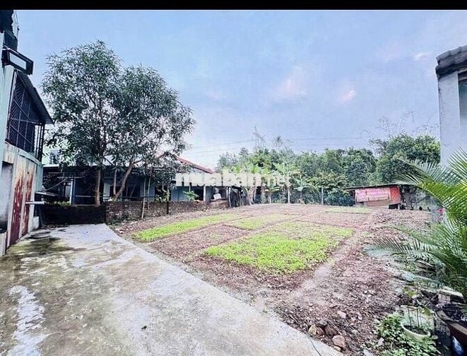✅Bán 160m(có 115m đất ở)phường Cẩm Lệ.