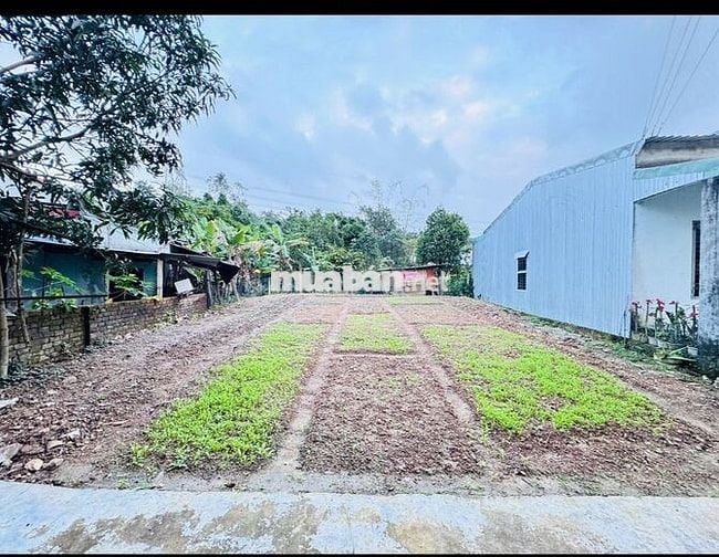 ✅Bán 160m(có 115m đất ở)phường Cẩm Lệ.