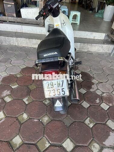 Honda Dream II Trắng Nâu