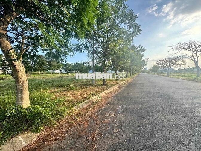 Cần Bán 2 Lô 310m Thổ Cư Trung Tâm  Tân An Cạnh AEON