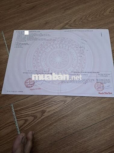 Cần bán gấp nhà cấp 4 hẻm 61 phạm ngọc hưng 