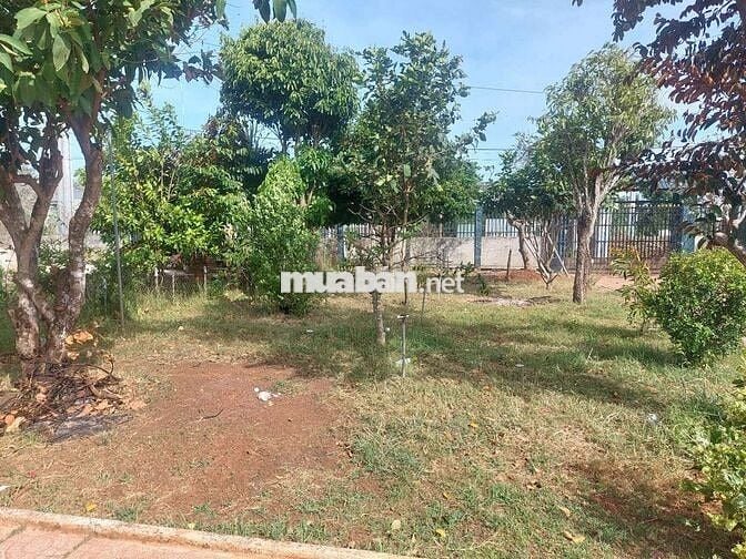 Bán nhà mặt tiền (909m2) số 368 cmt8 thị trấn đất đỏ