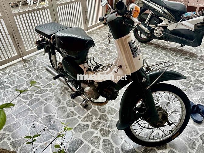 Honda Super Cub 86-70 Xanh võ dưa