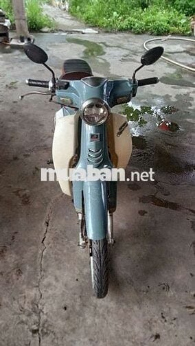 cub 50 xanh kem