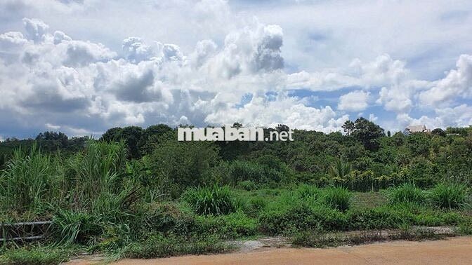 Đất Lâm Đồng, thích hợp : nghỉ dưỡng, làm nông nghiệp/farmstay, đầu tư