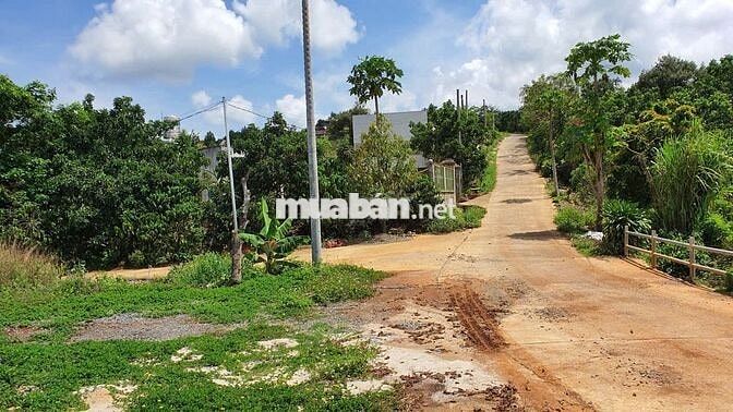Đất Lâm Đồng, thích hợp : nghỉ dưỡng, làm nông nghiệp/farmstay, đầu tư