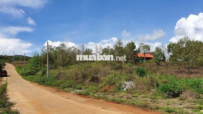 Đất Lâm Đồng, thích hợp : nghỉ dưỡng, làm nông nghiệp/farmstay, đầu tư