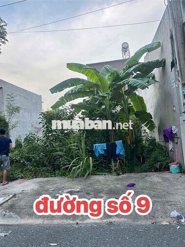 ĐẤT KDC PHÚC ĐẠT – GẦN VÒNG XOAY KIM HẰNG tân hiệp tân uyên