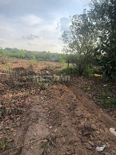 Bán Đất Chính Chủ Đường DT749A,Xã Minh Thạnh TP.HCM,Đất Đẹp Bán Gấp.