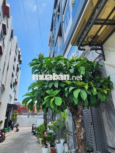 🔥 HIẾM CHỈ HƠN 7 TỶ SỞ HỮU NGAY NHÀ 5 TẦNG NGANG 4,8M DTSD HƠN 250M2 