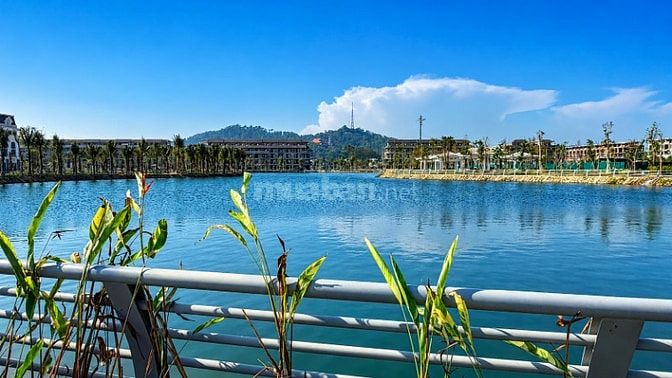 Đất trung tâm TP THanh Hóa, Giá chỉ từ 3,x tỷ/lô