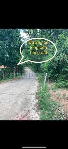 Bán Đất Chính Chủ Đường DT749A,Xã Minh Thạnh TP.HCM,Đất Đẹp Bán Gấp.