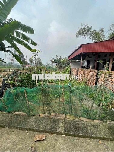 CHÍNH CHỦ BÁN ĐẤT KẾ BÊN HỒ ĐỒNG MÔ