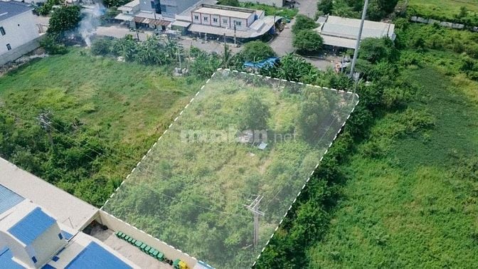 Cho thuê mặt bằng 1500m2 - đường Hải Sơn Tân Đức