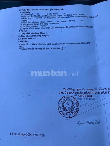 Bán Đất Chính Chủ Đường DT749A,Xã Minh Thạnh TP.HCM,Đất Đẹp Bán Gấp.