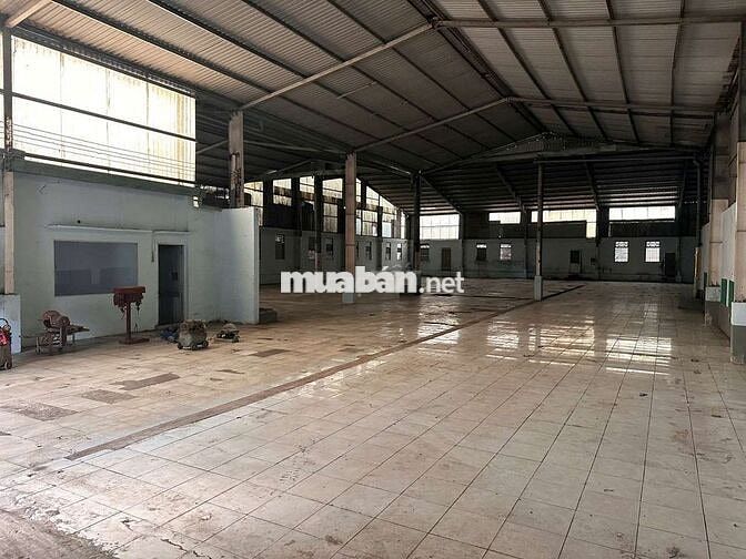 Xưởng Thuận An 1000m/45tr Có PCCC Đường Cont
