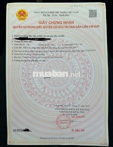 Bán mặt tiền Xuyên Tâm. Ngay tuyến 3 và 4. Đất nhiều mà giá rẻ