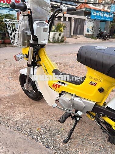 Việt Thái Chaly Vàng trắng