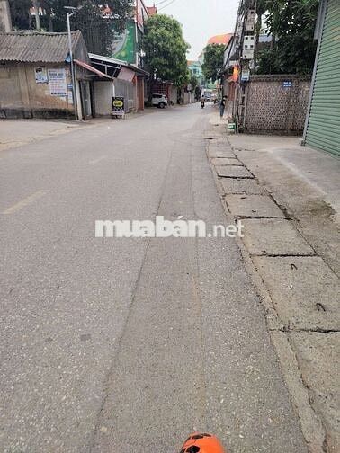 100 m² Ninh Cầm, Tân Dân. Giá Đầu Tư chỉ 25 tr/M.