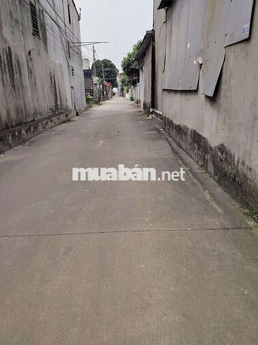 100 m² Ninh Cầm, Tân Dân. Giá Đầu Tư chỉ 25 tr/M.