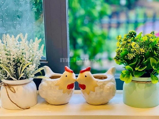 CĂN NHÀ NHỎ XINH GIỮA KHÔNG GIAN XANH VEN ĐÀ LẠT – PHÙ HỢP NGHỈ DƯỠNG 