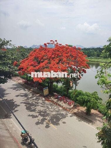 cho thuê nhà 3 tầng, mặt tiền 10m, dt 90m2 1 tầng.