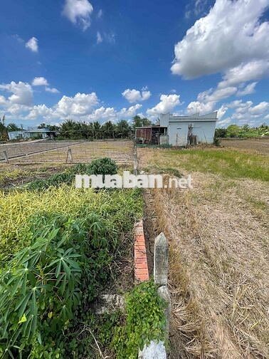 dư miếng đất ở Phường long thuận tiền giang cần bán