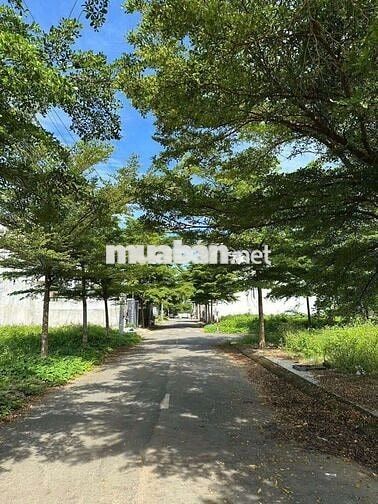 ĐẤT NỀN 6x20 SỔ HỒNG SẴN NGAY TRUNG TÂM TRẤN BIÊN