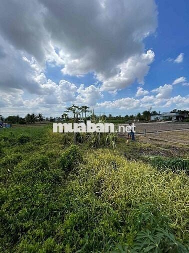 dư miếng đất ở Phường long thuận tiền giang cần bán