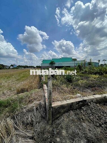 dư miếng đất ở Phường long thuận tiền giang cần bán