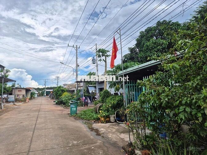 Cần bán ra 342m2 + 100m TC đất thuộc HCM, cách DH 507 đúng 150m