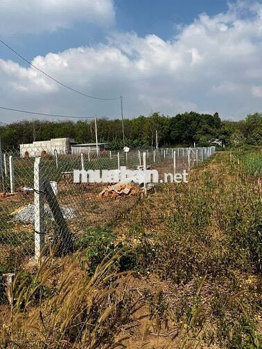 Ngộp 424m2 -100TC lô đất đường betong 7m sau chợ An Linh giá 620 triệu
