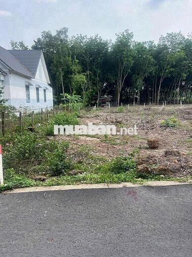 Đất thật-người thật-giá thật. 343.3m2 - có 100m2 TC, hiện hữu nhựa 8m
