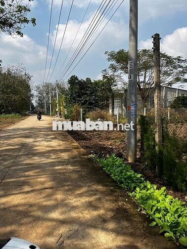 Ngộp 424m2 -100TC lô đất đường betong 7m sau chợ An Linh giá 620 triệu