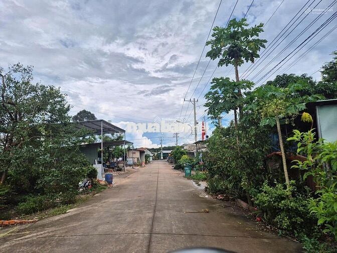 Cần bán ra 342m2 + 100m TC đất thuộc HCM, cách DH 507 đúng 150m