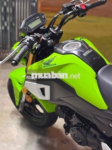 Honda MSX 2019 Xanh lá 12000 km