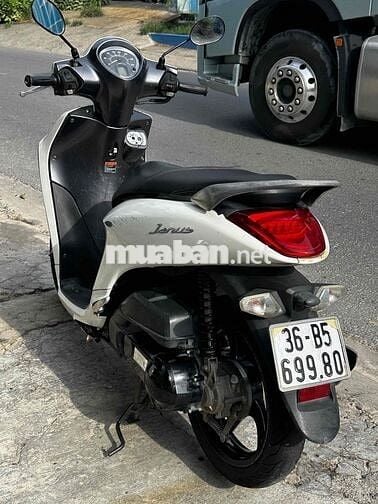 Yamaha Janus 2016 Trắng