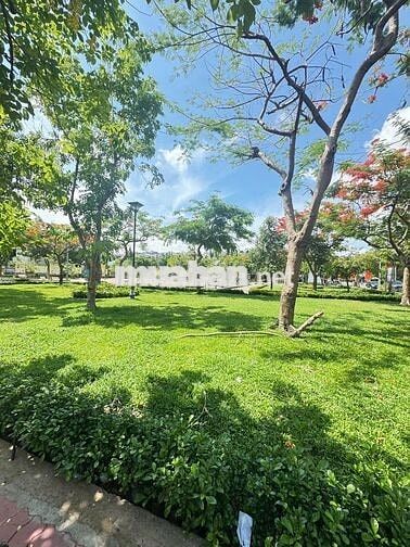 Cho thuê nhà 6x18m, 4 tầng, 5PN, 5WC, KDC Cao Lỗ, P.4, Q.8