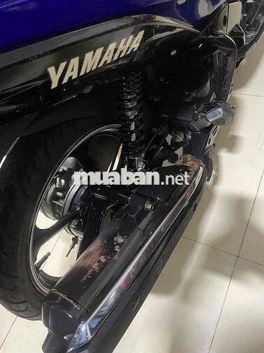 Yamaha Nouvo 5 2013 Xanh trắng