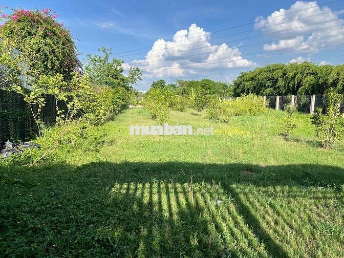 Bán đất đường Hoàng Phan Thái dt 85m2 giá 2tỷ5